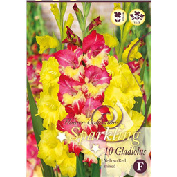 Микс гладиолусов Желто-Красных