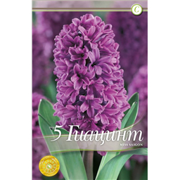 Мисс Сайгон