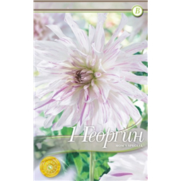 Момс Специал