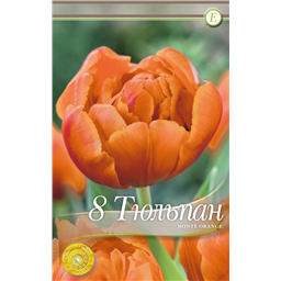 Монте Орандж