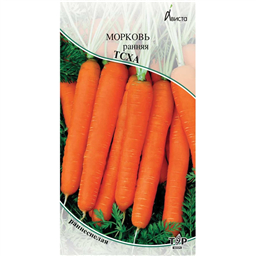 Морковь ранняя ТСХА 