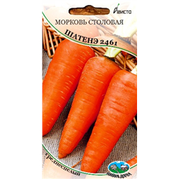 Морковь столовая Шантенэ 2461
