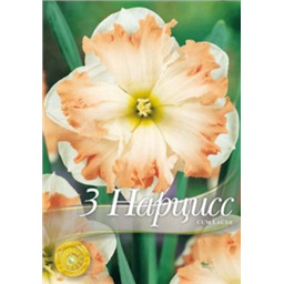 Нарцисс Гум Лауде