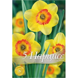 Нарцисс Бэтмэн