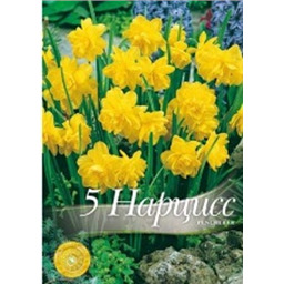 Нарцисс Ренкрибар