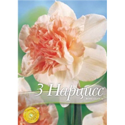 Нарцисс Рози Клоуд