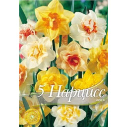 Нарцисс смесь