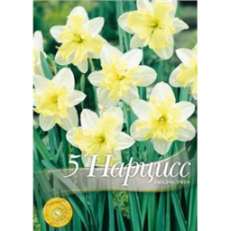 Нарцисс Смилинг Твин