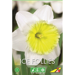 Нарцисс  Айс Фоллис(упаковка мини)