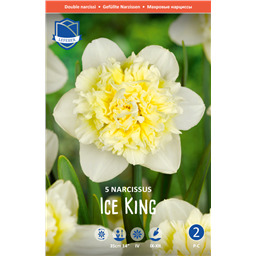 Нарцисс Айс Кинг