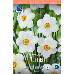 Нарцисс Актея
