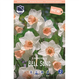 Нарцисс Белл Сонг