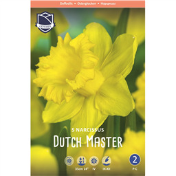 Нарцисс Дач Мастер