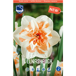 Нарцисс Дельнашо