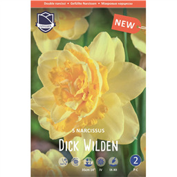 Нарцисс Дик Вилден