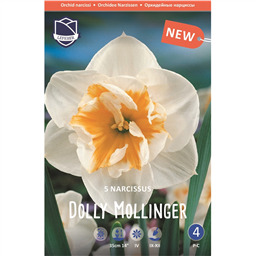 Нарцисс Долли Моллинджер