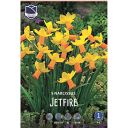 Нарцисс Джетфайр