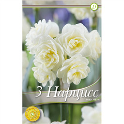 Нарцисс Эрличир