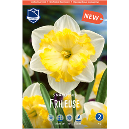 Нарцисс Фрилёз