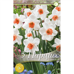 Нарцисс Кул Флейм