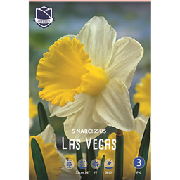 Нарцисс Лас Вегас