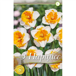 Нарцисс Лав Колл