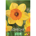 Нарцисс  Лавдей(упаковка мини)
