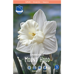 Нарцисс Маунт Худ