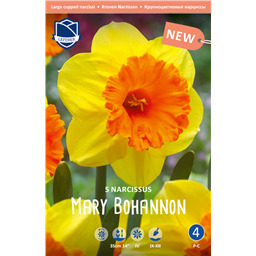 Нарцисс Мери Боханнон