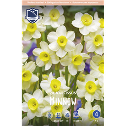 Нарцисс Минноу