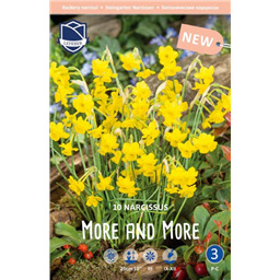 Нарцисс Мор энд Мор