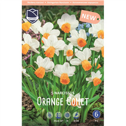 Нарцисс Оранж Комет