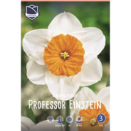 Нарцисс Профессор Эйнштейн