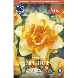 Нарцисс Санкатчер