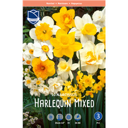 Нарцисс Смесь крупнокорончатых