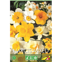 Нарцисс  Смесь(упаковка мини)