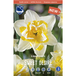 Нарцисс Свит Дизайр