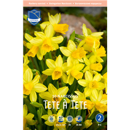 Нарцисс Тет-а-тет