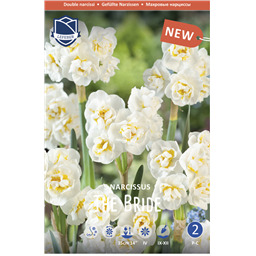 Нарцисс Зе Брайд