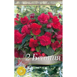 Одората Роуз-Ред