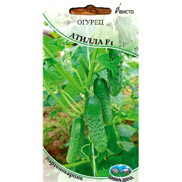 Огурец Атилла F1