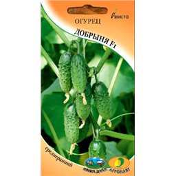 Огурец Добрыня F1