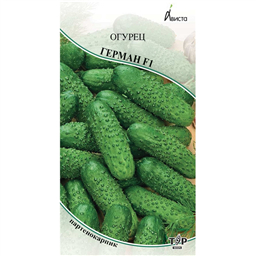Огурец Герман F1