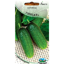 Огурец Гинга F1