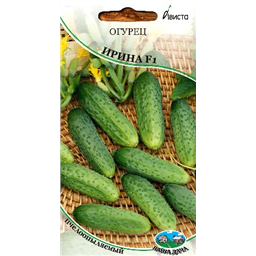 Огурец Ирина F1