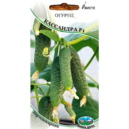 Огурец Кассандра F1