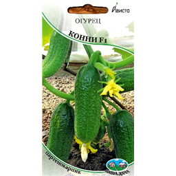 Огурец Конни F1