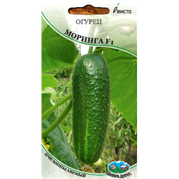 Огурец Моринга F1
