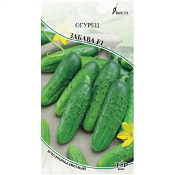 Огурец Забава F1