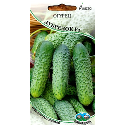 Огурец Зубренок F1